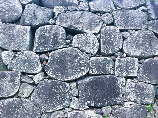 The Foundation of a Japanese Castle