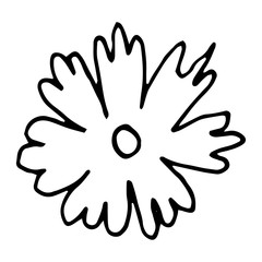 Flower drawing. Vector hand-drawn doodle illustration