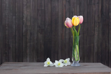 A bouquet of pink and yellow tulips in a glass vase on a old wooden background near with narcissus.