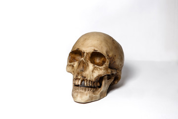Human skull on a white background, isolate.