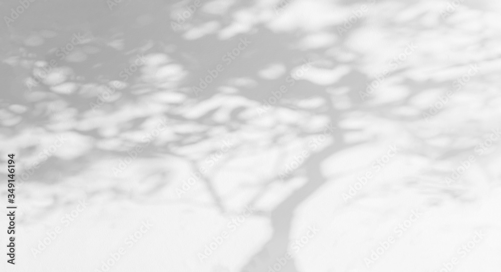 Poster tree shadow and light with leaves, tree trunk, branch, shadow bokeh on white wall background