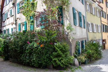 Fototapeta na wymiar Haus Tübingen Bunt Pflanzen 