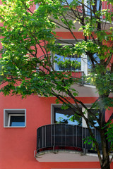 Fototapeta na wymiar Haus, Baum, Balkon, Fenster