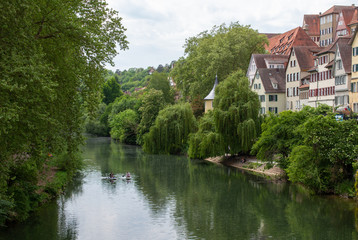 Fototapeta premium Tübingen Neckar Fluss Stadt Deutschland Natur Bäume 