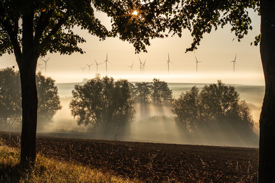 Morgenlicht
