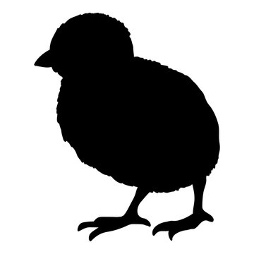 recommend clip art: Vector Silhouette of Chick