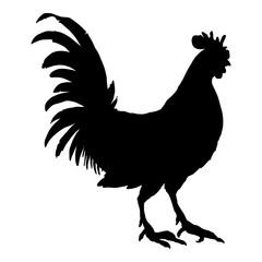 Vector Silhouette of Rooster