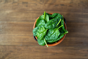 Fresh baby spinach leaves