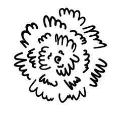 Abstract flower. Hand drawn vector illustration in doodle style, isolated on white background. 