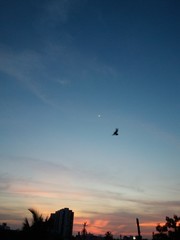 sunset in the city