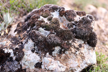 Close-up Mossy Rock Formation That Can Be Used as Background and Texture