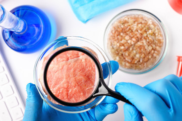 .Synthetic meat production. Checking the product for suitability in the laboratory. Artificial meat is the food of the future. Test tube meat.