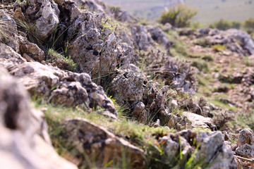 Close-up Mossy Rock Formation That Can Be Used as Background and Texture