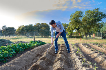 Young man working in the garden