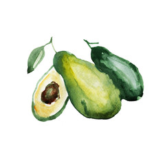 Hand-drawn watercolor illustration. avocados slices. Natural healthy diet. Diet, menu, restaurant. Print, textile, paper.