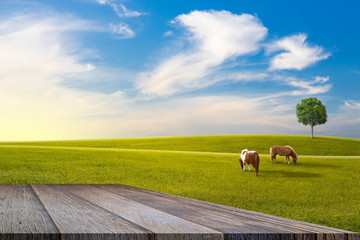 Old wooden floor beside green field on slope, tree and two horse with blue sky and clouds background.
