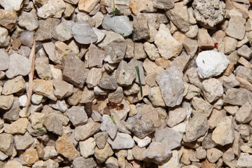 kleine steine als hintergrund