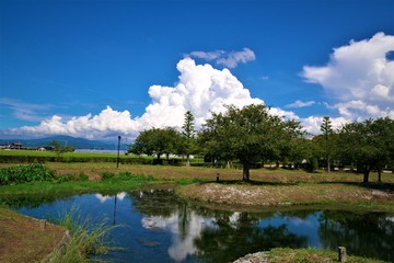 池の向こうに広がる大きな積乱雲

