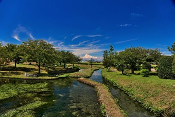 Fototapeta premium 青い空と池のある公園 