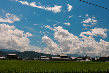 山にかかる大きな積乱雲
