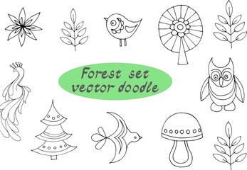 Bird flying doodl. Graphic illustration. Image of a bird.Separate element on a white background. Sketch, retro, vintage style.