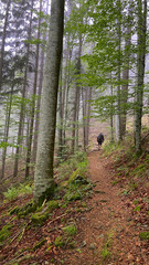 Frühling im Schwarzwald 