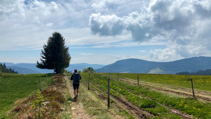 Fototapeta premium Frühling im Schwarzwald 
