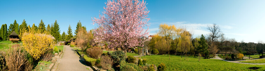 Landscape design of luxury home garden. Picturesque view of the landscaped garden in the yard. Landscape design with plants and flowers in a private area. Natural space scenery space in summer