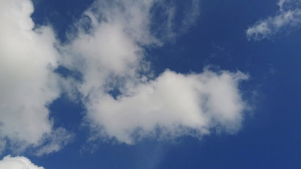 Obraz premium The weather landscape of blue sky and white clouds