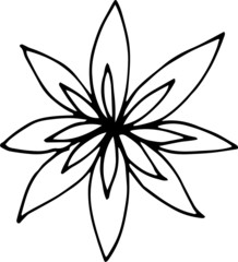 Doodle flowers. Graphic vector illustration. Black and white drawing. A set of small and different elements. Flowering, leaves, petals, buds, berries. On a white background. Print, textile