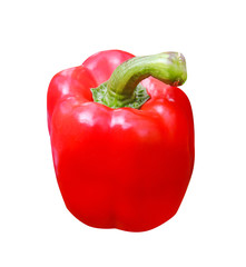 Red sweet pepper or capsicum annuum isolated on white background , clipping path