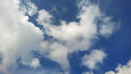 The weather landscape of blue sky and white clouds