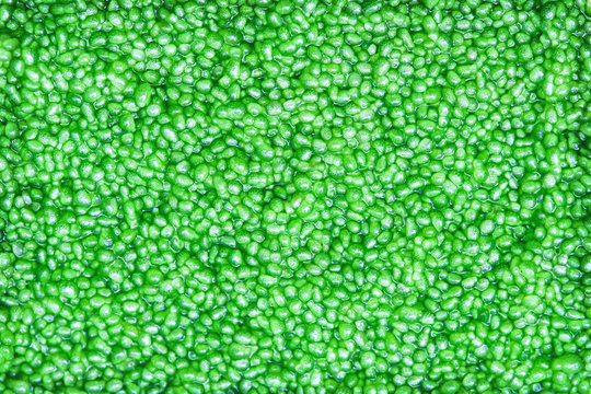 Green small water algae wolffia globosa or water meal texture top view background