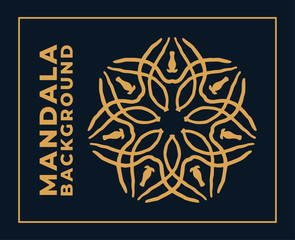 Vector mandala pattern ornament luxury background