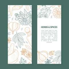 Herbs and Spices Card Template with Natural Organic Healthy Products Seamless Pattern, Label, Flyer, Certificate, Hand Drawn Vector Illustration