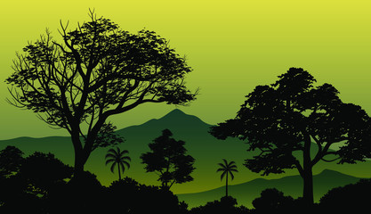 vector illustration of a tree