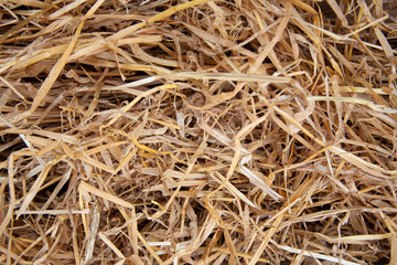 Hay(straw) patch 
