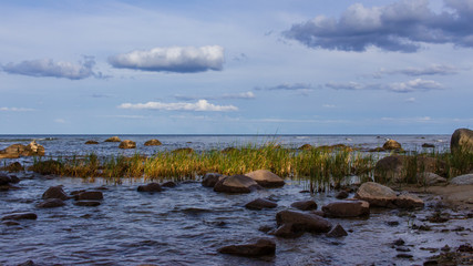 Baltic sea view, water rocks and greens