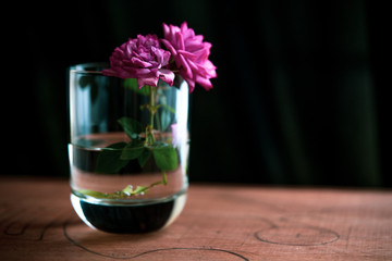 flower in glass
