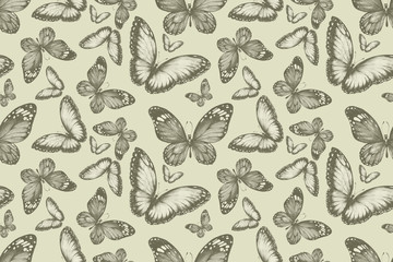 Seamless pattern. Butterflies insects. Print textile. Hand-drawn watercolor illustration. wildlife, forest, park. Gift card, congratulations. Vintage, retro style, sketch.