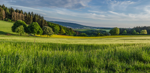 Panorama Taunusstein mit Hoher Wurzel