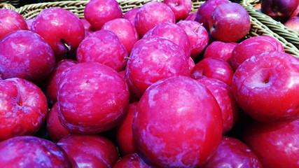 Close-up of a fruit plum