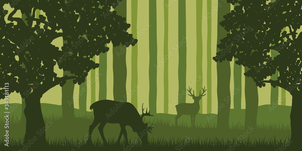 Wall mural wildlife elk in green forest nature landscape vector illustration EPS10