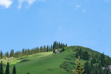 Fototapeta na wymiar Steppe of Mount Kazakhstnvn hill road
