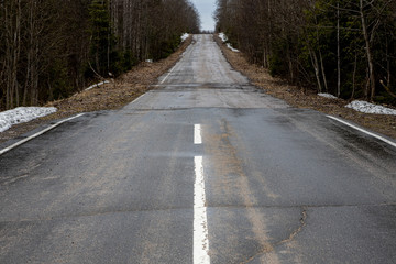 The old neglected road among trees in a dense forest