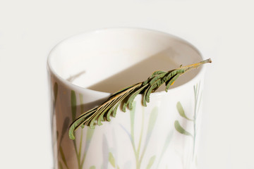 Cup and mug on the white background