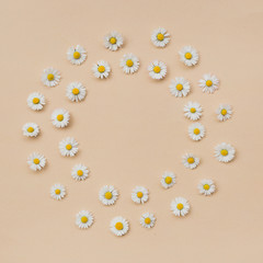 Wreath made of various chamomile flowers on a beige background. Flat lay, top view, copy space. Daisy in circle shape pattern. Flat lay hello spring and summer time with chamomile flowers