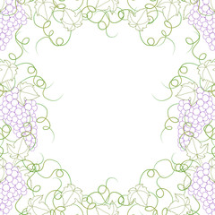 Colorful Line Grape Frame Vine on White Background