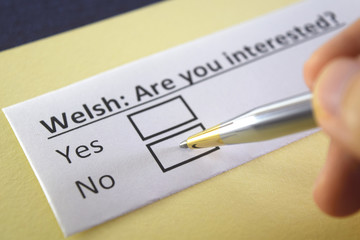 Obraz premium One person is answering question about welsh.