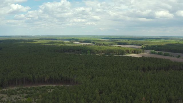 Aerial drone flying over field of pine forest and countryside at sunny cloudy spring time. Wonderful drone video for ecological concept 